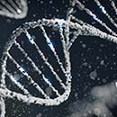 Ethical dilemmas of genetics