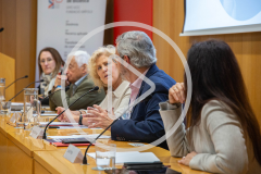 Comitès d'ètica, ciutadania i deliberació